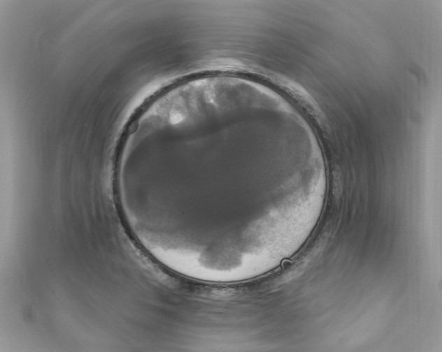 X0000111021326200907171847