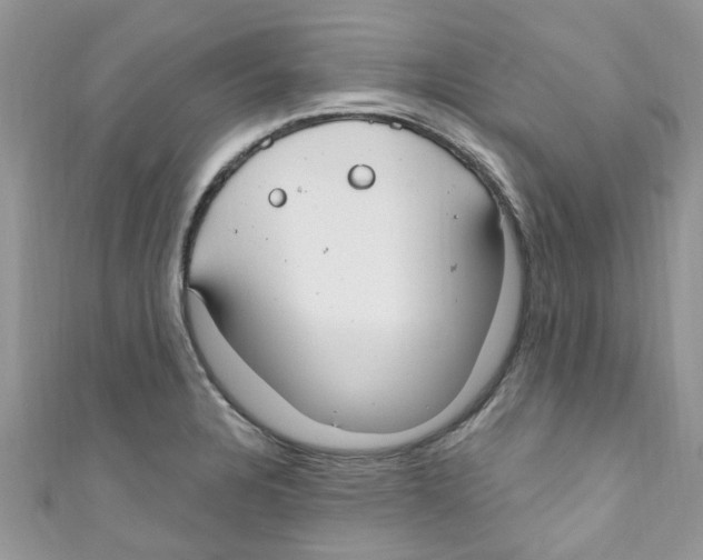 X0000111021328200907171847