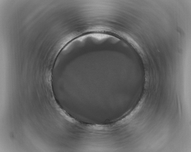 X0000111021329200907171847