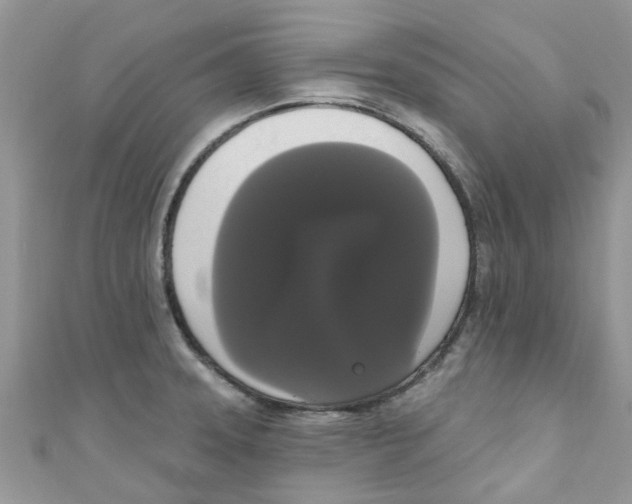 X0000111021331200907171847