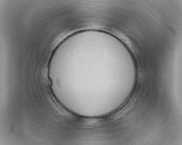 X0000111021332200907171847