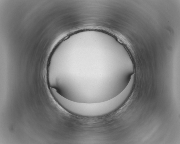 X0000111021334200907171847