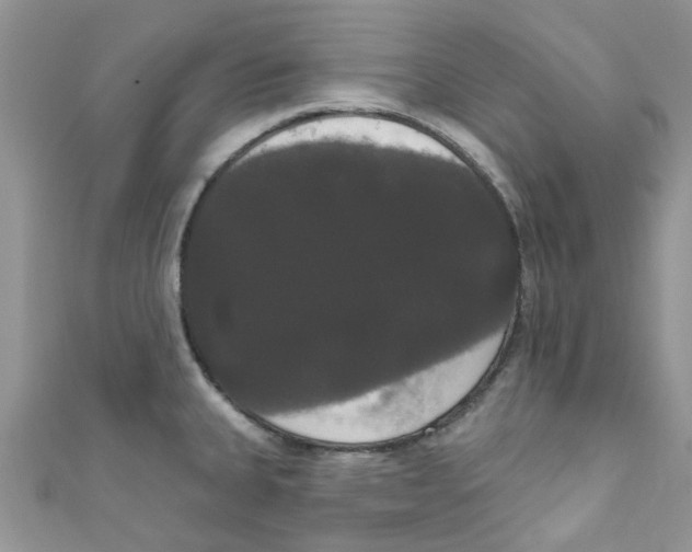 X0000111021335200907171847