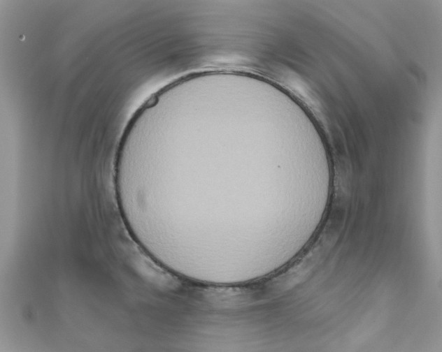 X0000111021336200907171847