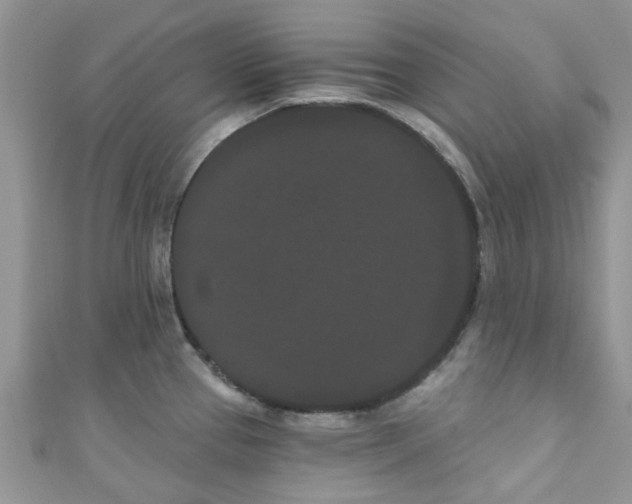 X0000111021337200907171847