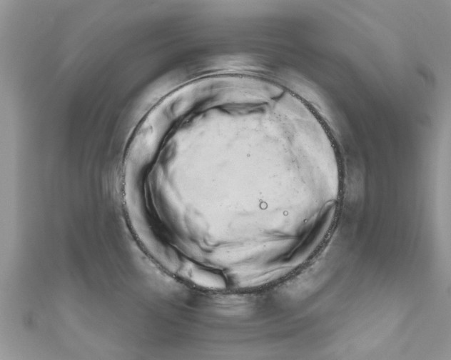X0000111021338200907171847