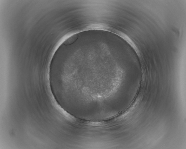 X0000111021339200907171847