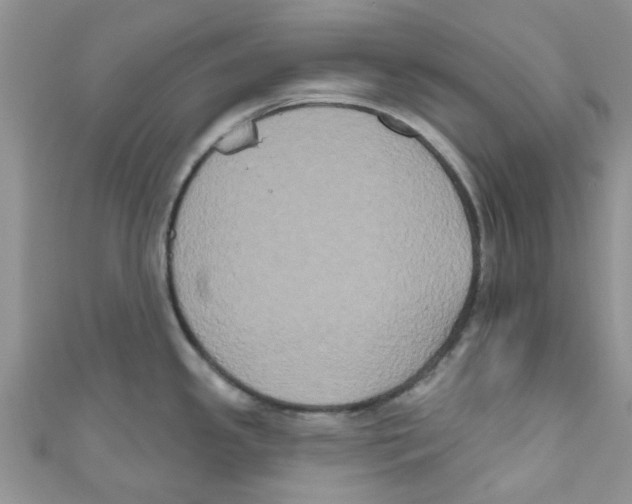 X0000111021341200907171847
