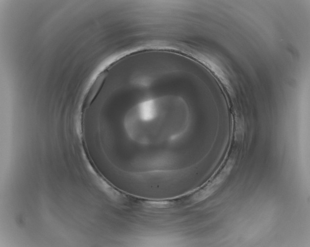 X0000111021342200907171847