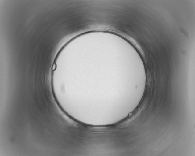 X0000111021343200907171847