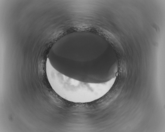 X0000111021346200907171846