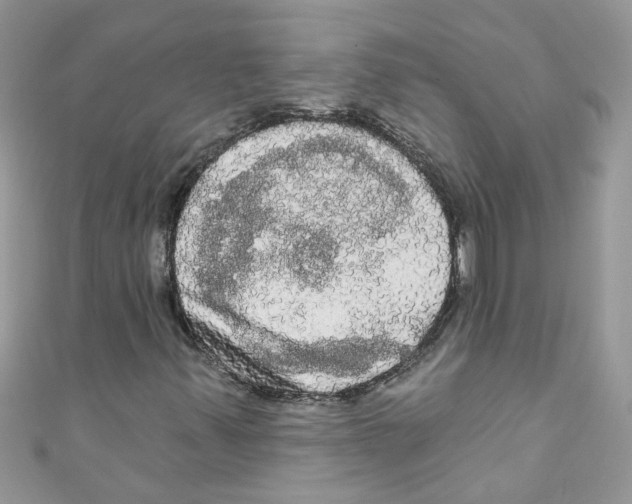 X0000111021347200907171846