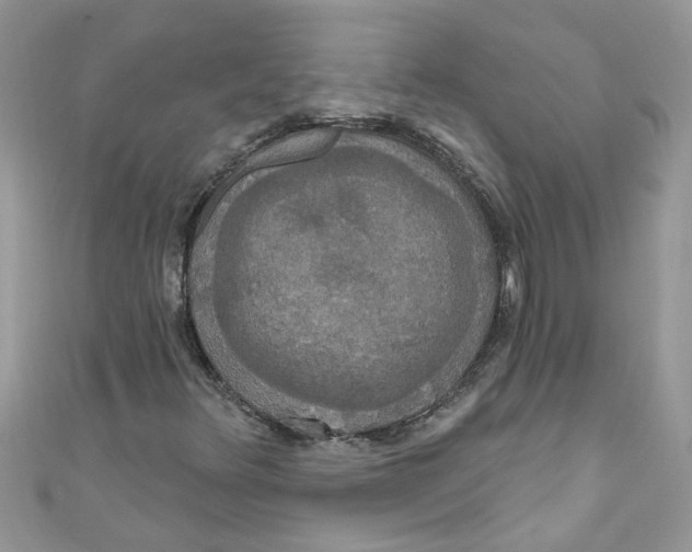 X0000111021348200907171846