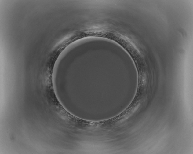 X0000111021350200907171846