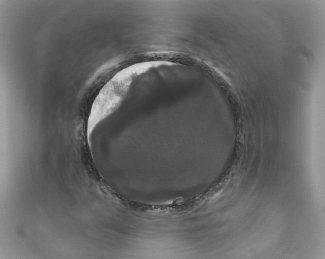 X0000111021351200907171846