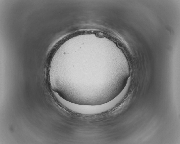 X0000111021352200907171846