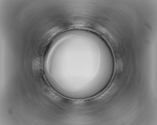 X0000111021353200907171846