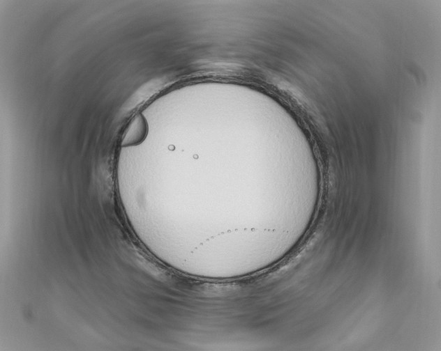 X0000111021354200907171846