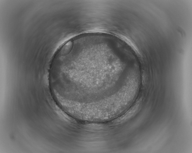 X0000111021356200907171846
