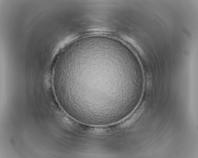 X0000111021357200907171846
