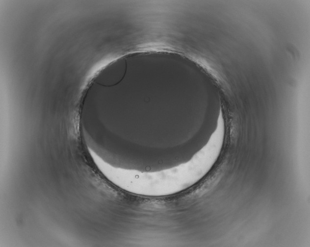 X0000111021358200907171846