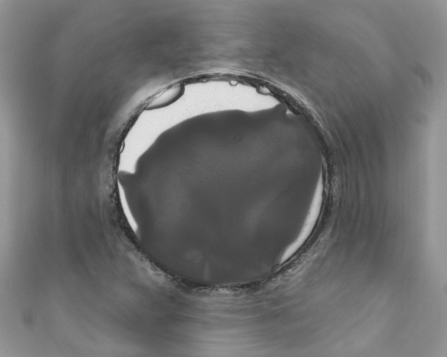 X0000111021359200907171846