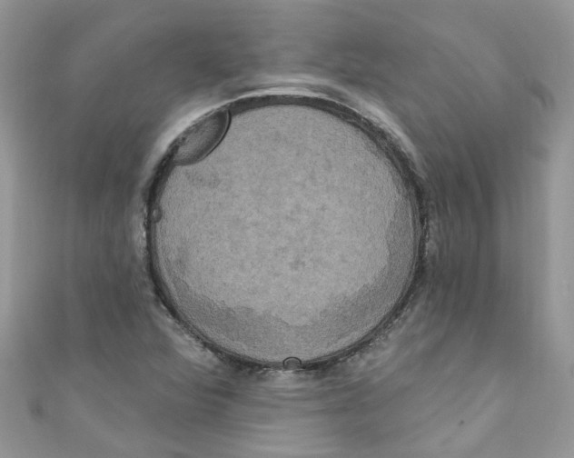 X0000111021360200907171846