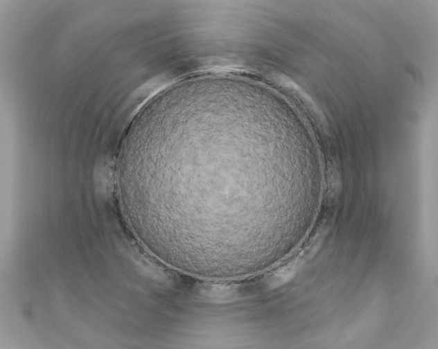 X0000111021361200907171846