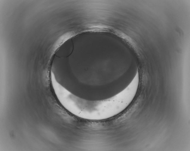 X0000111021362200907171846