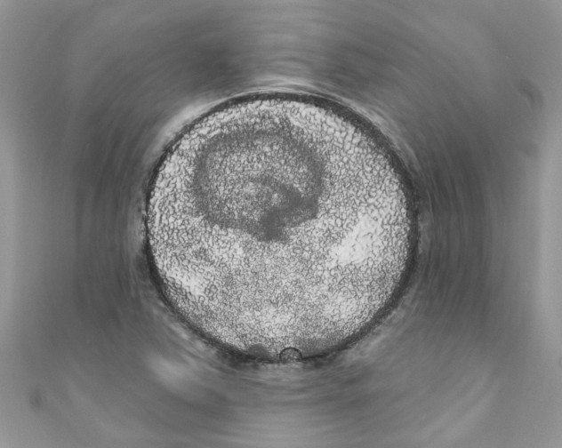 X0000111021363200907171846