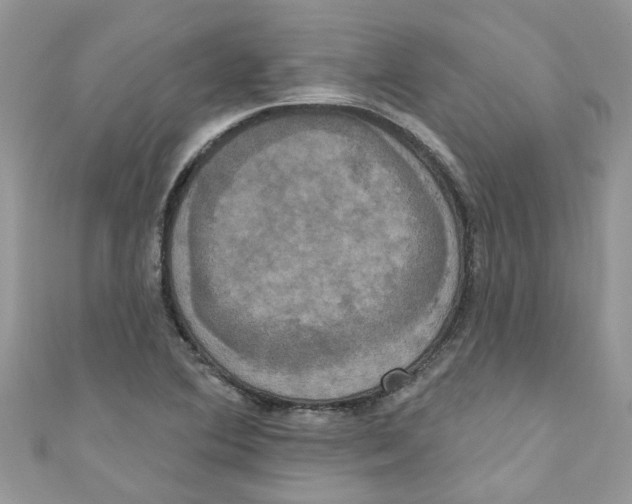 X0000111021364200907171846