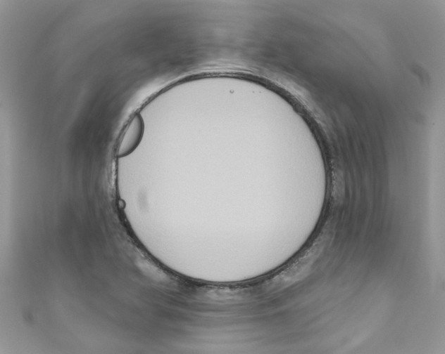 X0000111021366200907171846