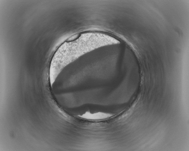 X0000111021367200907171846