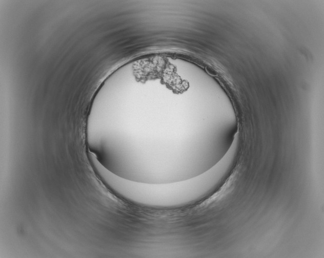 X0000111021369200907171846