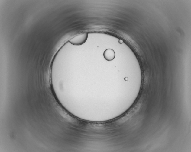 X0000111021370200907171846