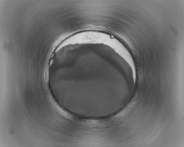 X0000111021371200907171846