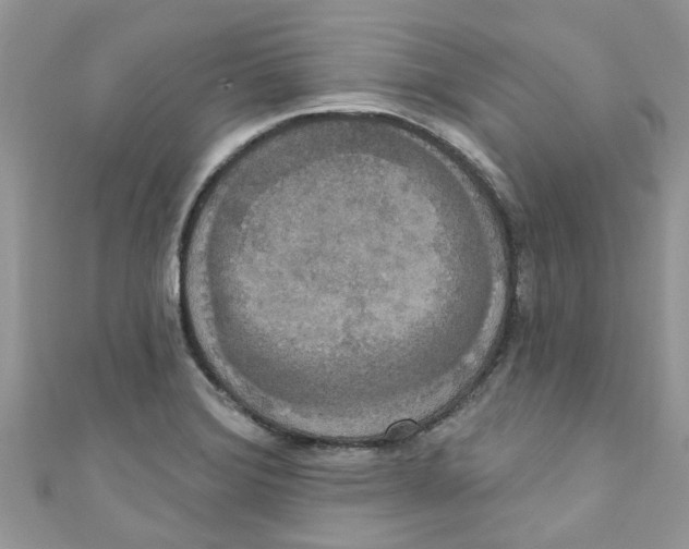 X0000111021372200907171846