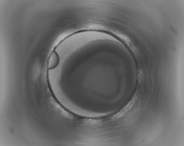 X0000111021374200907171846