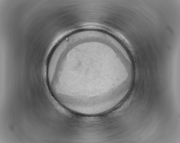 X0000111021376200907171846