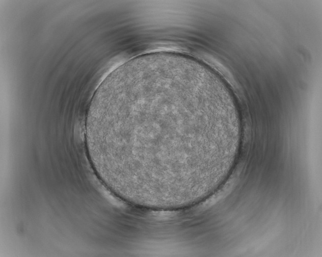 X0000111021377200907171846