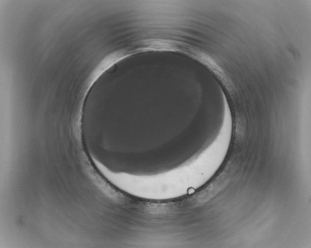 X0000111021378200907171846