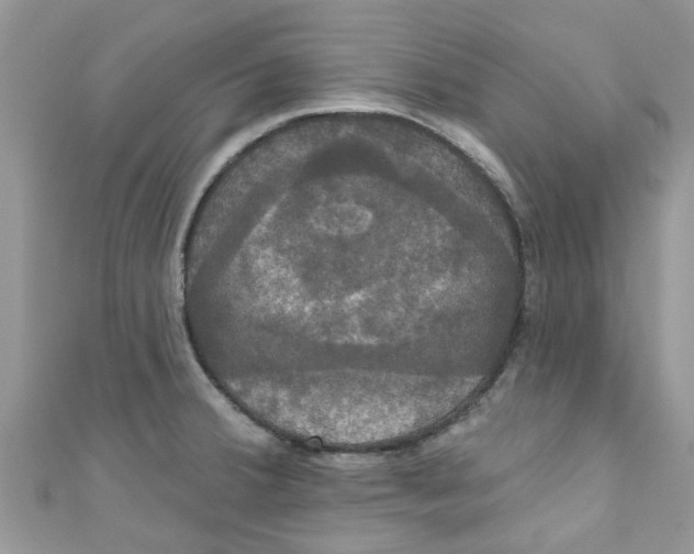X0000111021380200907171846