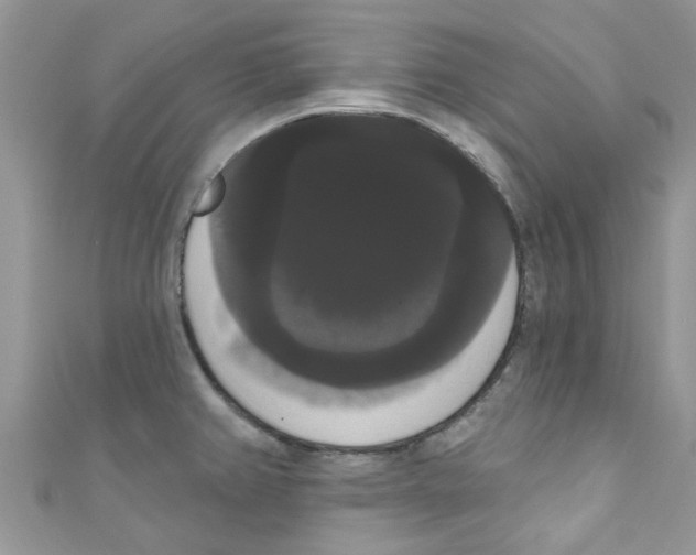 X0000111021382200907171846