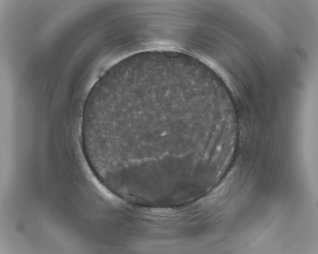 X0000111021383200907171846