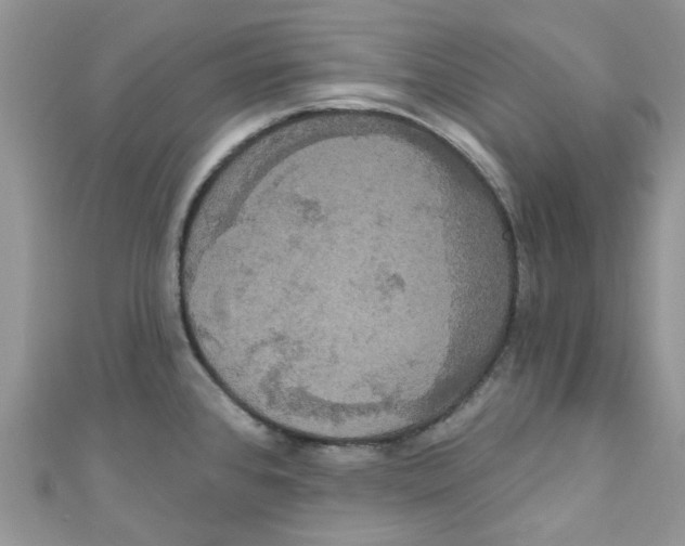 X0000111021384200907171846