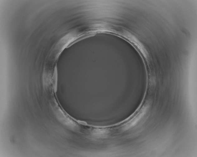 X0000111021385200907171846