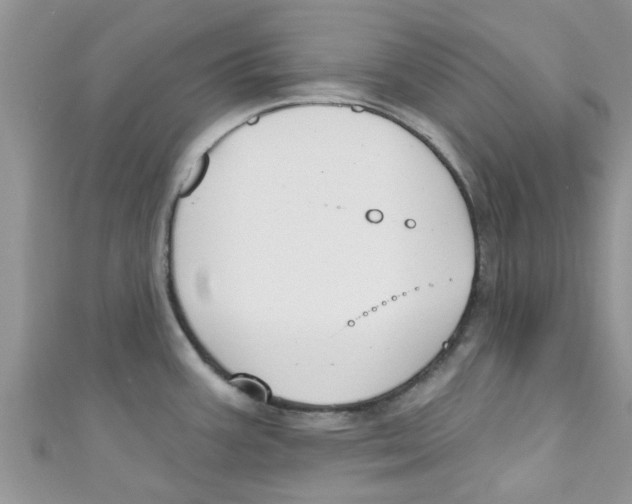 X0000111021387200907171846