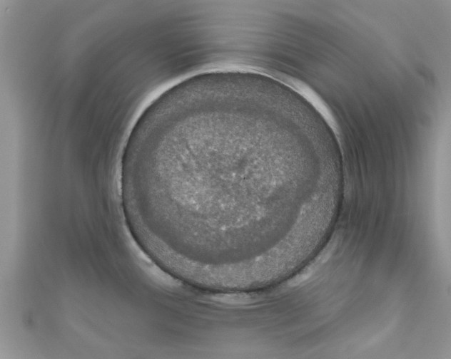 X0000111021388200907171846