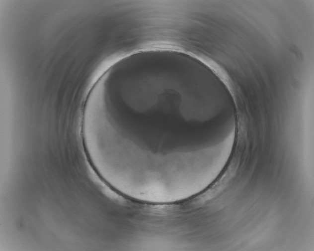 X0000111021390200907171846