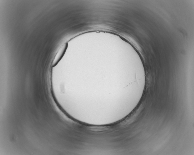 X0000111021391200907171846